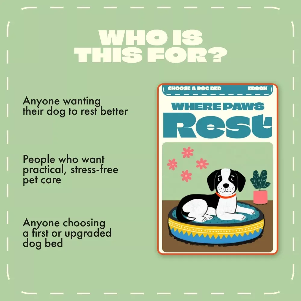 Where Paws Rest | How to Choose a Dog Bed eBook | Complete Guide for Every Dog Lover | Digital Download Pet Care Resource