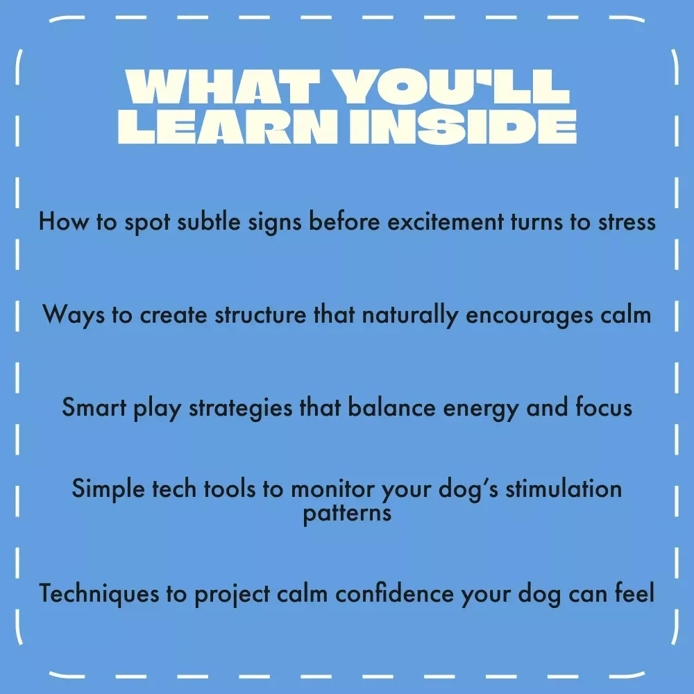 Beyond the Zoomies: Understanding and Preventing Overstimulation in Dogs | Calm Dog Training eBook | How to Avoid Overstimulating Dogs | Digital Guide for Balanced Play and Behavior