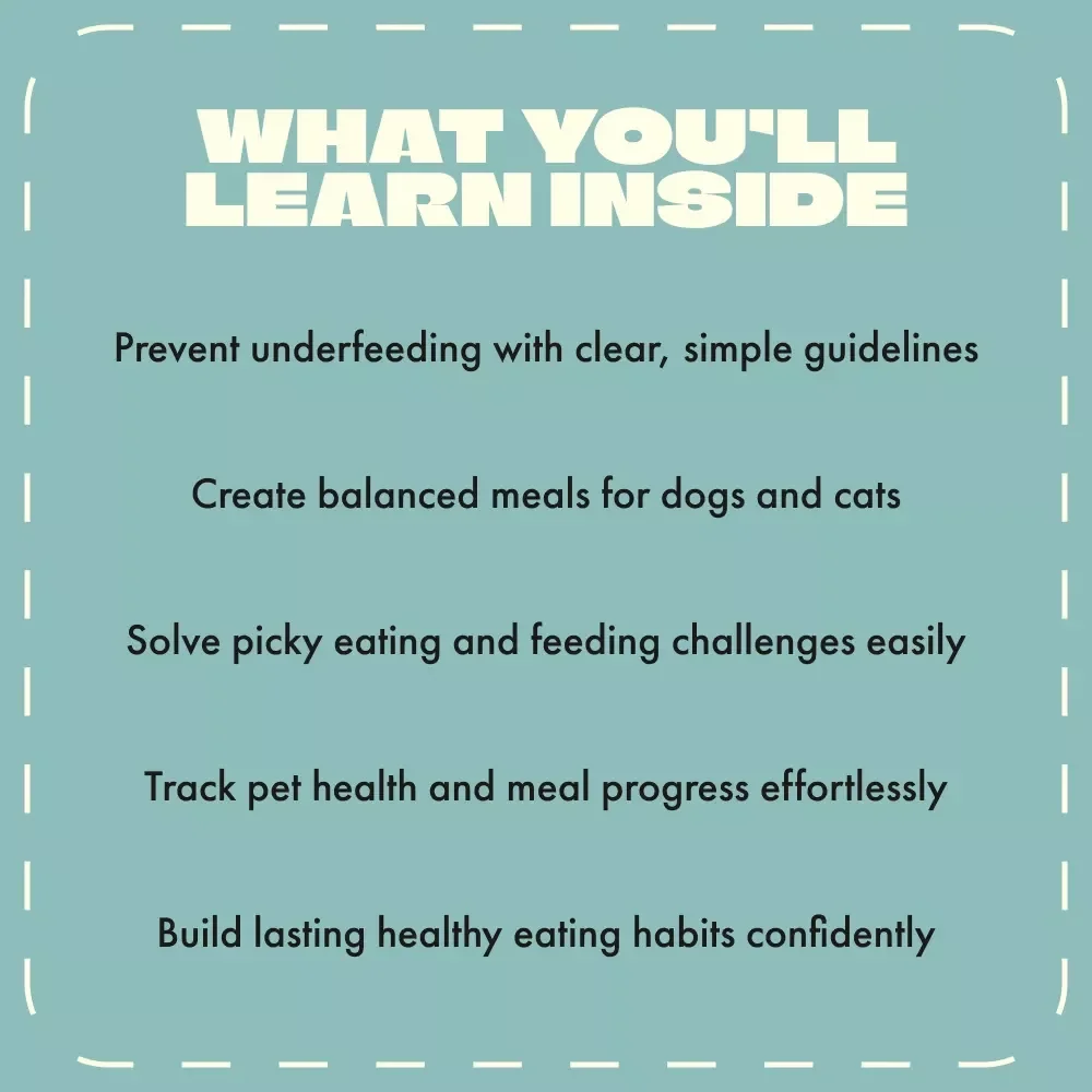 Healthy Appetite for Happy Pets | Digital Pet Nutrition Guide, eBook & Feeding Checklist for Dogs and Cats | Balanced Meals, Feeding Schedule & Pet Health Tips