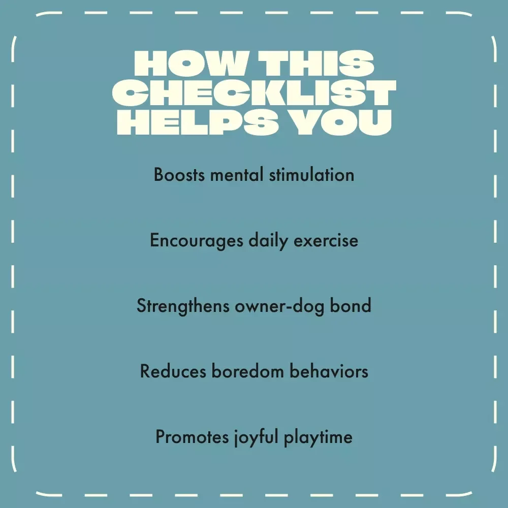 Pawsome Playtime Checklist: Interactive Fun Ideas for Dogs | Digital Dog Play Guide | Printable Dog Activity List for Mental & Physical Stimulation