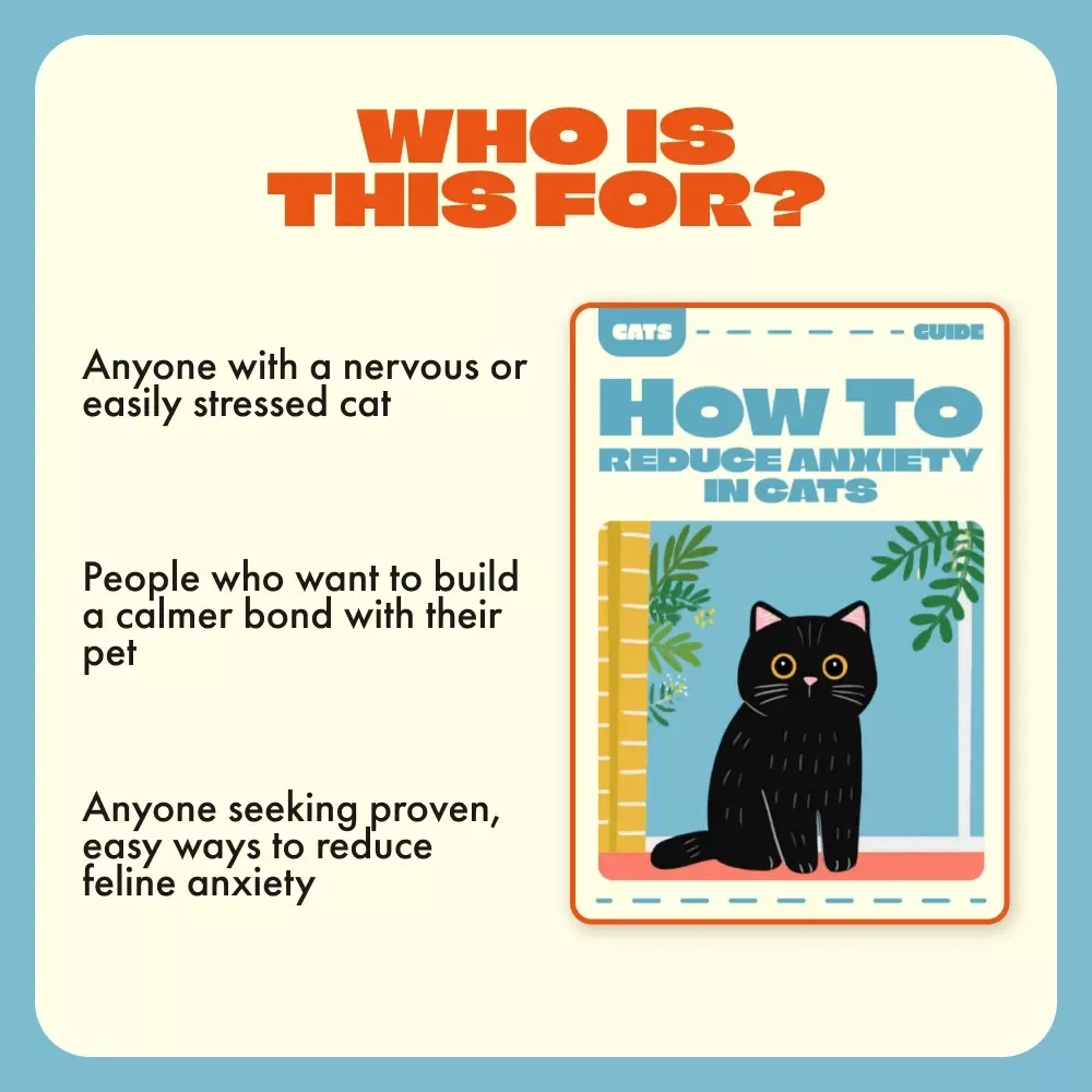 How to Reduce Anxiety in Cats | Calming Cat eBook, Feline Anxiety Relief Guide, Cat Behavior Training & AI Insights for Stress-Free Pets