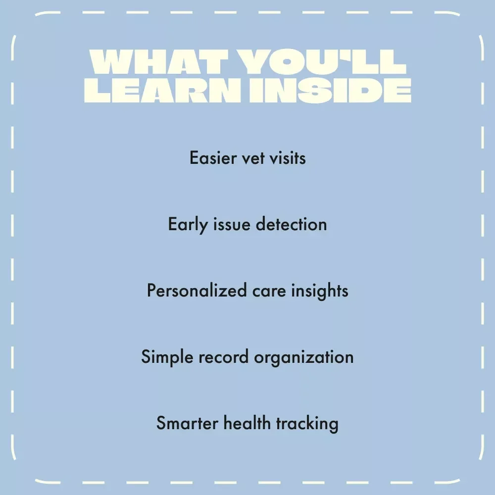 Creating Your Cat’s Health Record | Printable & Digital Guide for Cat Owners | How to Create a Cat Health Record Template + AI Tracking Tips
