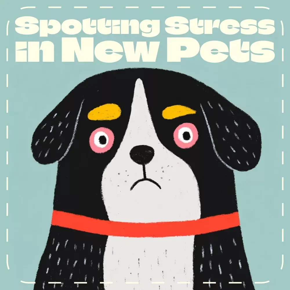 Spotting Stress in New Pets – Printable Pet Care Checklist | Signs of Stress in New Pets | Digital Download for Pet Parents & Animal Lovers
