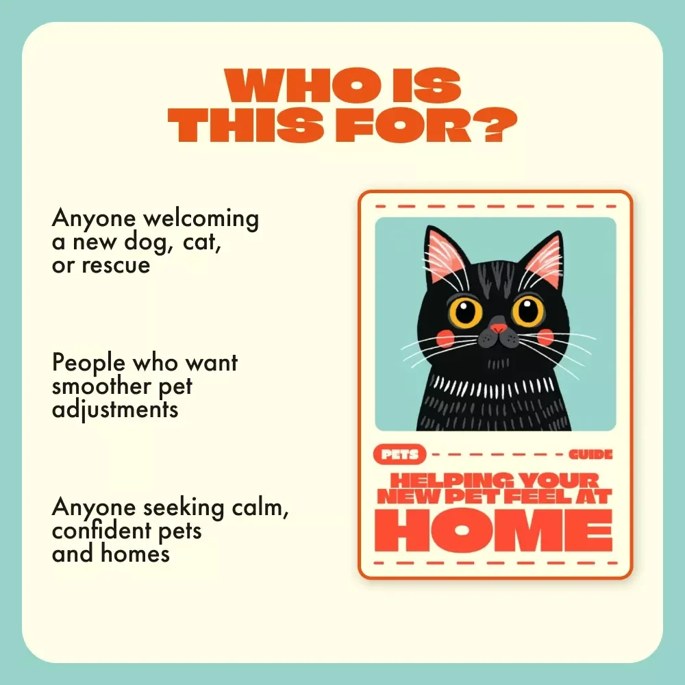 Helping Your New Pet Feel at Home | Ultimate Guide to How to Reduce Stress in New Pets | Calming, Trust-Building & Confidence Tips for Happy Homes