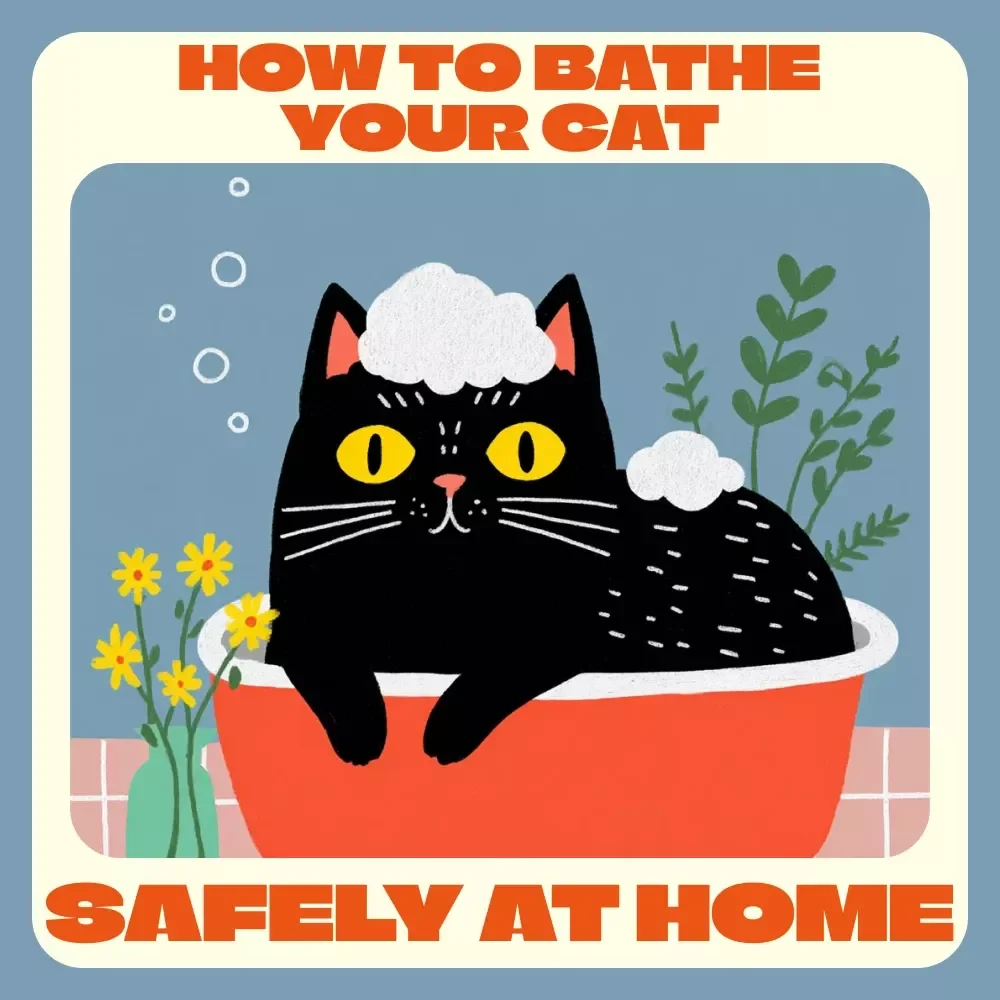 How to Bathe Your Cat Safely at Home Checklist | Digital Download Guide for Pet Owners | Bathing Cats at Home Safely Made Easy