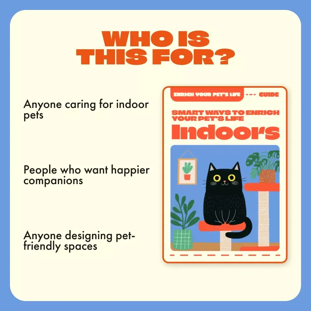 Smart Ways to Enrich Your Pet’s Life Indoors | Digital Guide for Apartment Living with Pets | How to Enrich Apartment Life for Pets