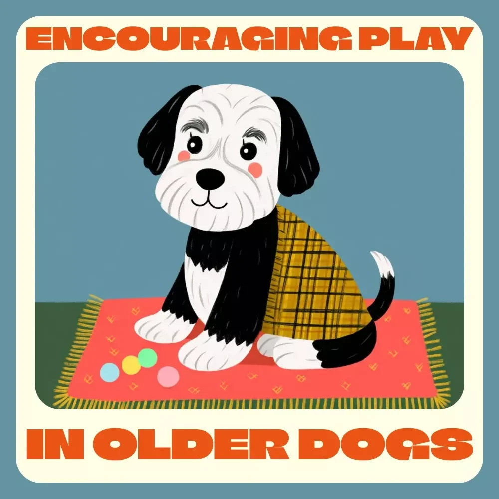 Encouraging Play in Older Dogs | Digital Guide for Dog Owners | How to Encourage Play in Older Dogs Using Gentle Games, Mental Stimulation, and Smart AI Tools
