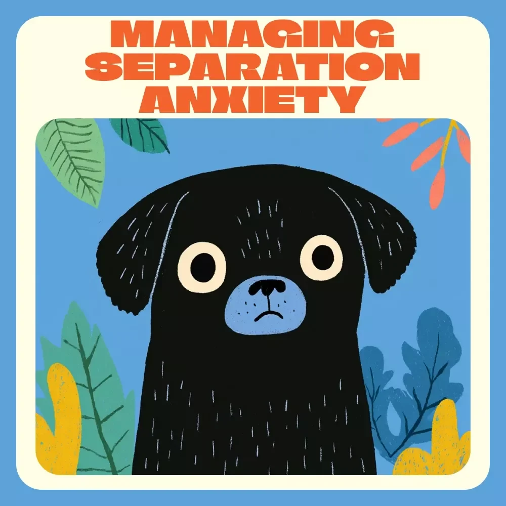 Managing Separation Anxiety in Dogs – Comprehensive Guide & Training eBook | How to Manage Separation Anxiety in Dogs Naturally
