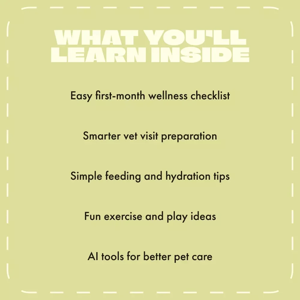 The First Month Pet Health Routine | First Month Pet Health Check Routine eBook for New Pet Owners | Puppy & Kitten Care Digital Guide