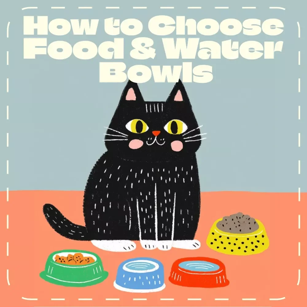 How to Choose Food & Water Bowls for Your Cat | Printable Checklist for Cat Owners | Digital Download Guide for Pet Parents | Learn How to Choose Food Bowls and Water Bowls for Cats