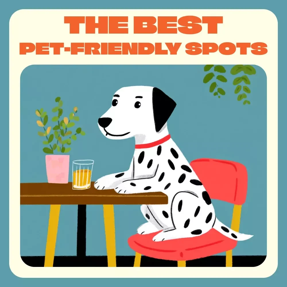 Using AI to Discover the Best Pet-Friendly Spots | Digital eBook Guide for Pet Lovers | Using AI to Find Pet Friendly Places for Restaurants, Parks, and Stays