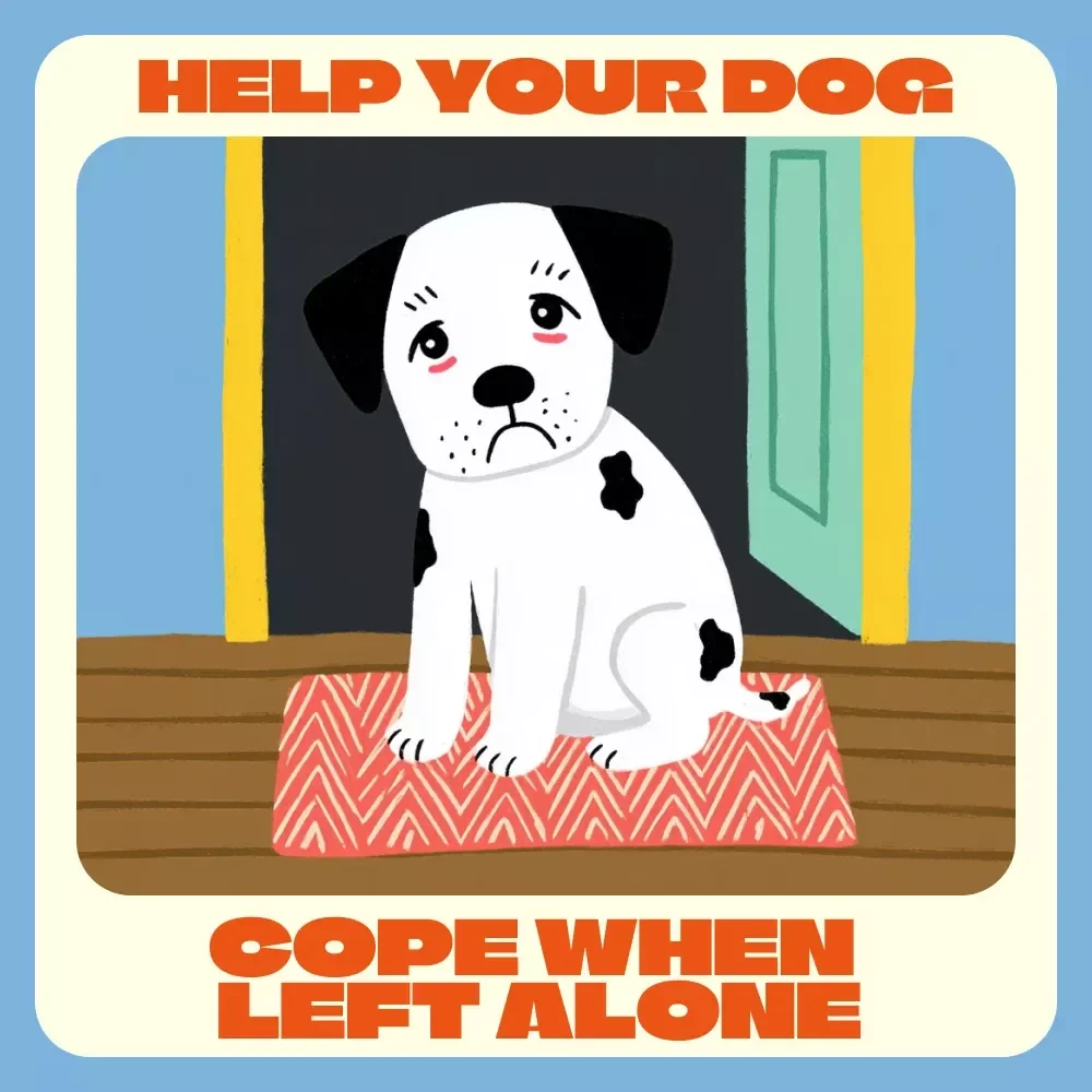 How to Help Your Dog Cope When Left Alone | Separation Anxiety eBook for Dog Owners | Printable Dog Training Guide | Puppy Anxiety Tips | Digital Download
