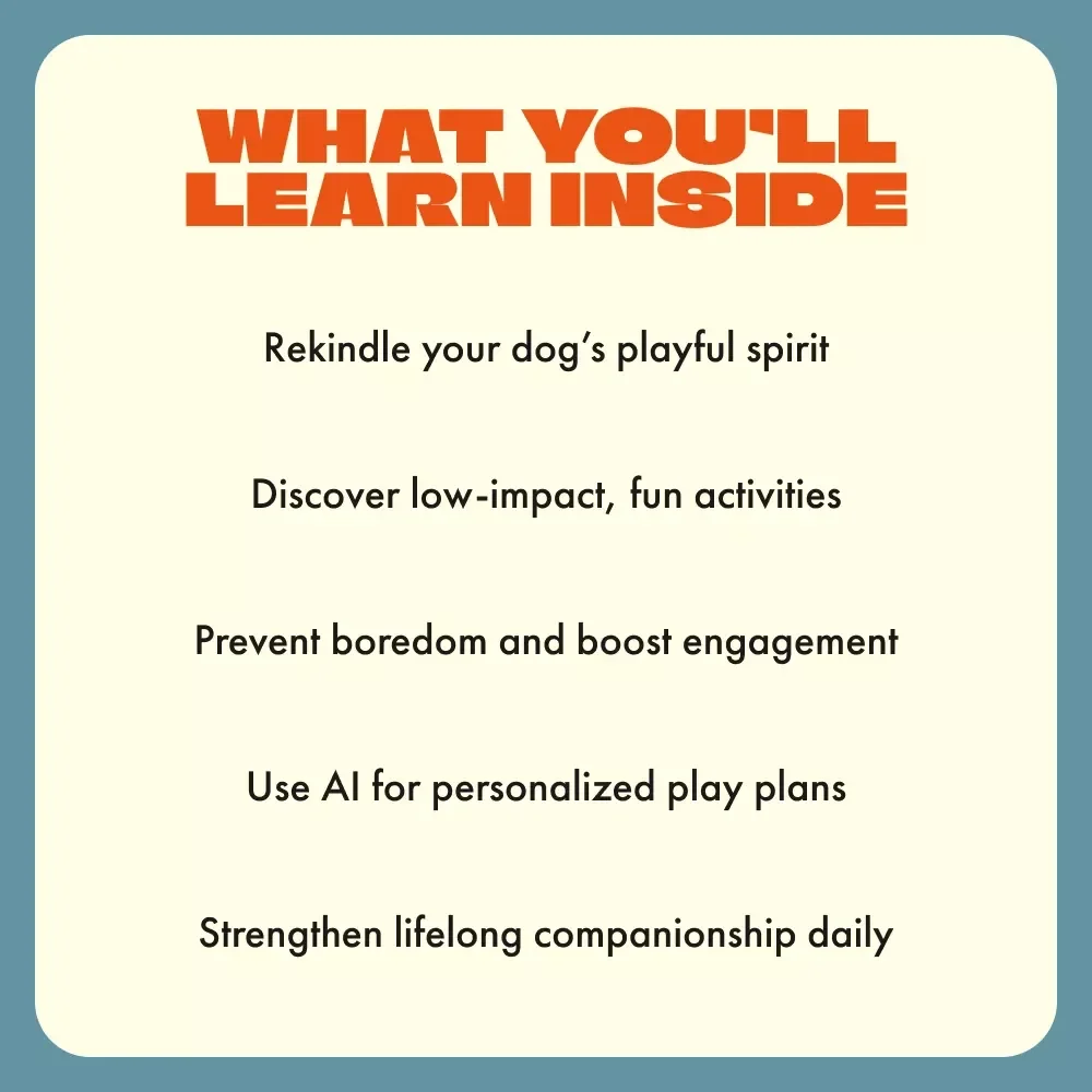Encouraging Play in Older Dogs | Digital Guide for Dog Owners | How to Encourage Play in Older Dogs Using Gentle Games, Mental Stimulation, and Smart AI Tools