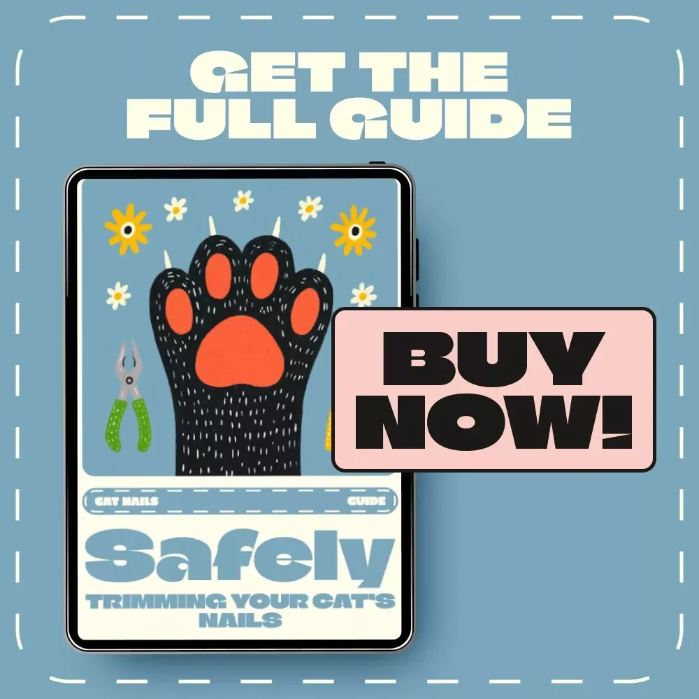 Safely Trimming Your Cat’s Nails | How to Trim Cat Nails Safely | Step-by-Step Cat Nail Trimming Guide for Pet Owners