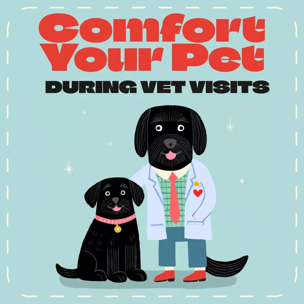 How to Comfort Your Pet During Vet Visits | Pet Anxiety Relief eBook, Calming Guide for Cats & Dogs, Digital Download for Pet Parents, Stress-Free Vet Visit Training, Pet Care Checklist