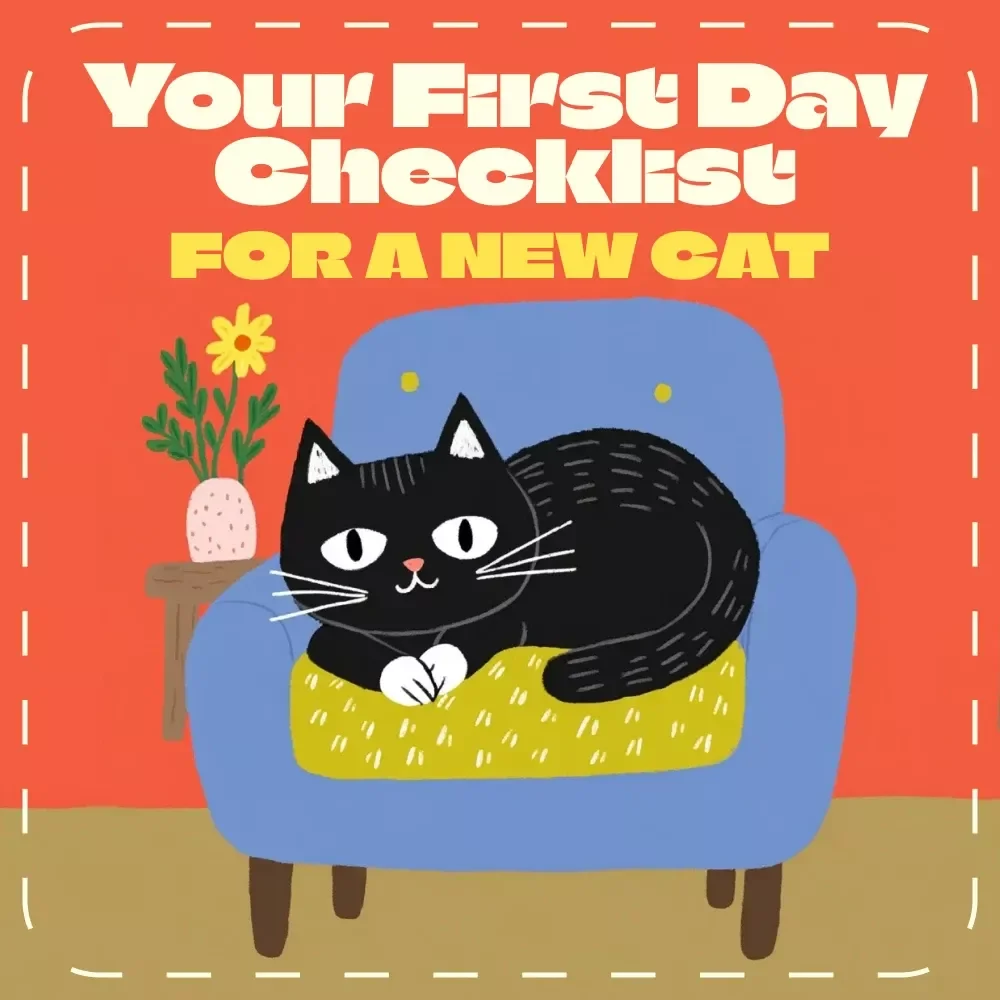 Your First Day Checklist for a New Cat | Digital Guide for Cat Owners | Printable eBook for Smooth Cat Adoption & Home Setup | First Day Checklist for a New Cat Companion