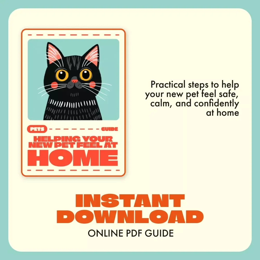 Helping Your New Pet Feel at Home | Ultimate Guide to How to Reduce Stress in New Pets | Calming, Trust-Building & Confidence Tips for Happy Homes