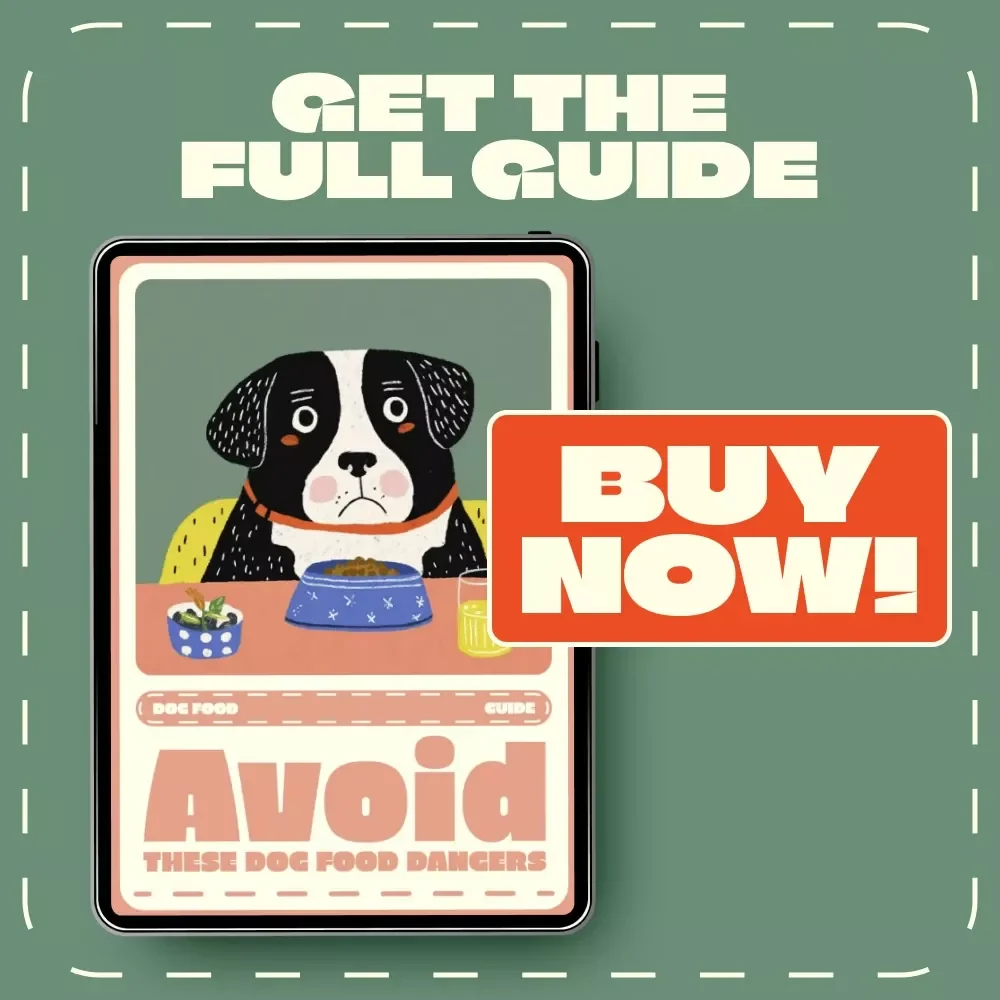 Avoid These Dog Food Dangers | Digital Guide for Pet Owners | What Ingredients to Avoid in Dog Food | Safe & Healthy Pet Nutrition eBook
