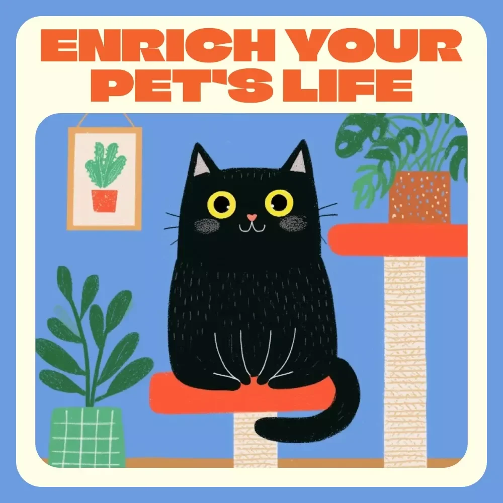 Smart Ways to Enrich Your Pet’s Life Indoors | Digital Guide for Apartment Living with Pets | How to Enrich Apartment Life for Pets