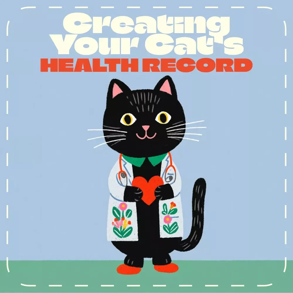 Creating Your Cat’s Health Record | Printable & Digital Guide for Cat Owners | How to Create a Cat Health Record Template + AI Tracking Tips