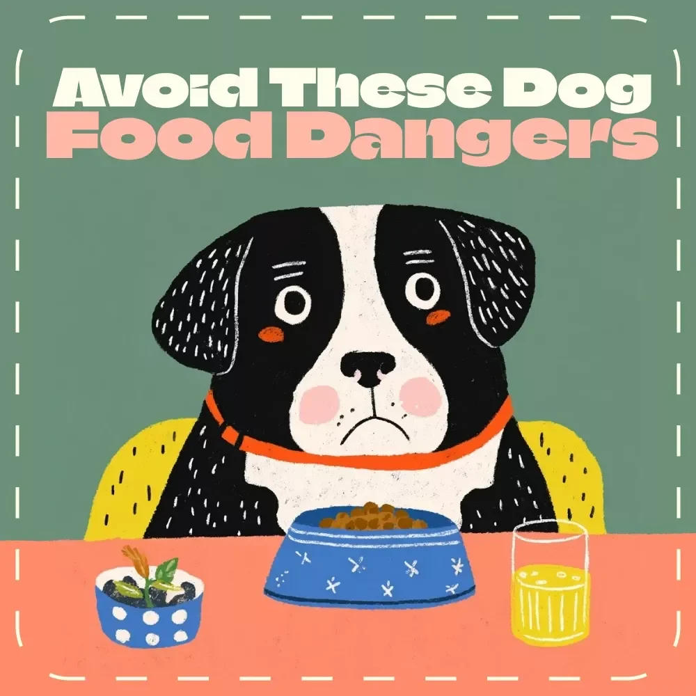Avoid These Dog Food Dangers | Digital Guide for Pet Owners | What Ingredients to Avoid in Dog Food | Safe & Healthy Pet Nutrition eBook