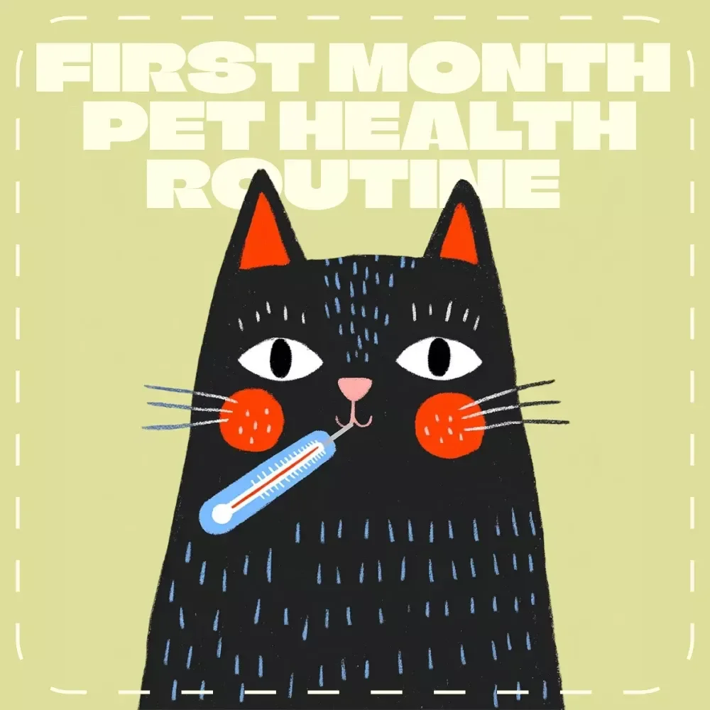 The First Month Pet Health Routine | First Month Pet Health Check Routine eBook for New Pet Owners | Puppy & Kitten Care Digital Guide