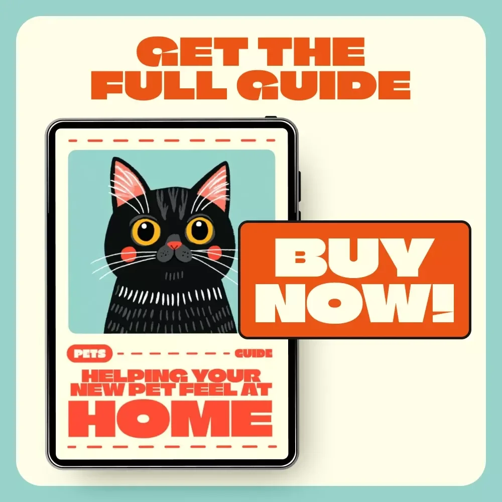 Helping Your New Pet Feel at Home | Ultimate Guide to How to Reduce Stress in New Pets | Calming, Trust-Building & Confidence Tips for Happy Homes