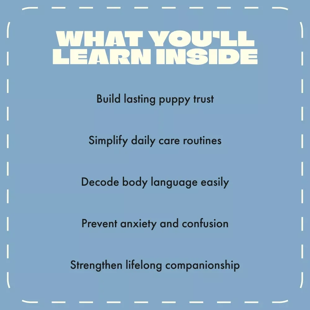 Puppy Safe Haven – Helping Your New Friend Feel Secure | Digital Guide for New Puppy Owners | How to Make a Puppy Feel Safe, Loved & Confident at Home