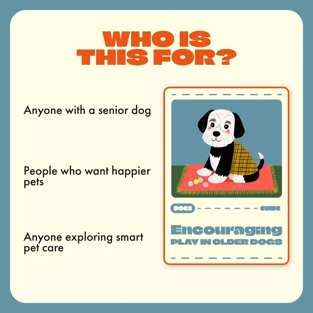 Encouraging Play in Older Dogs | Digital Guide for Dog Owners | How to Encourage Play in Older Dogs Using Gentle Games, Mental Stimulation, and Smart AI Tools