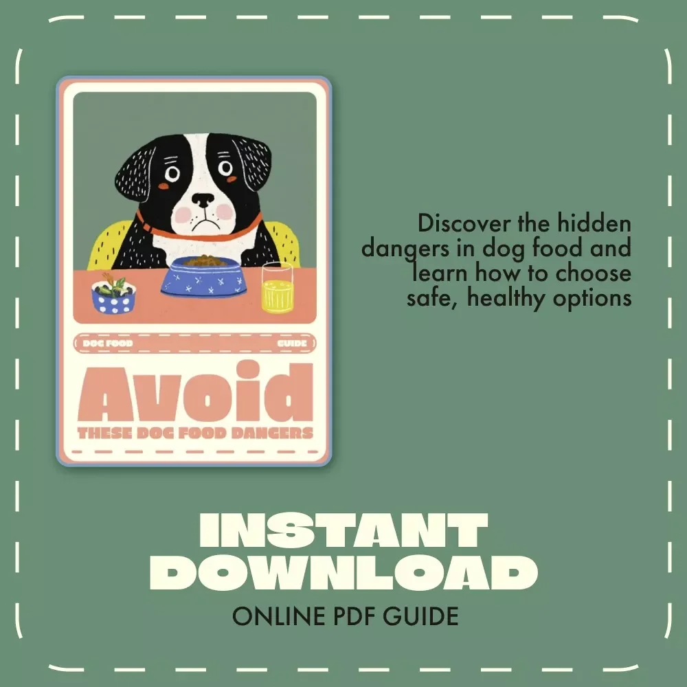 Avoid These Dog Food Dangers | Digital Guide for Pet Owners | What Ingredients to Avoid in Dog Food | Safe & Healthy Pet Nutrition eBook