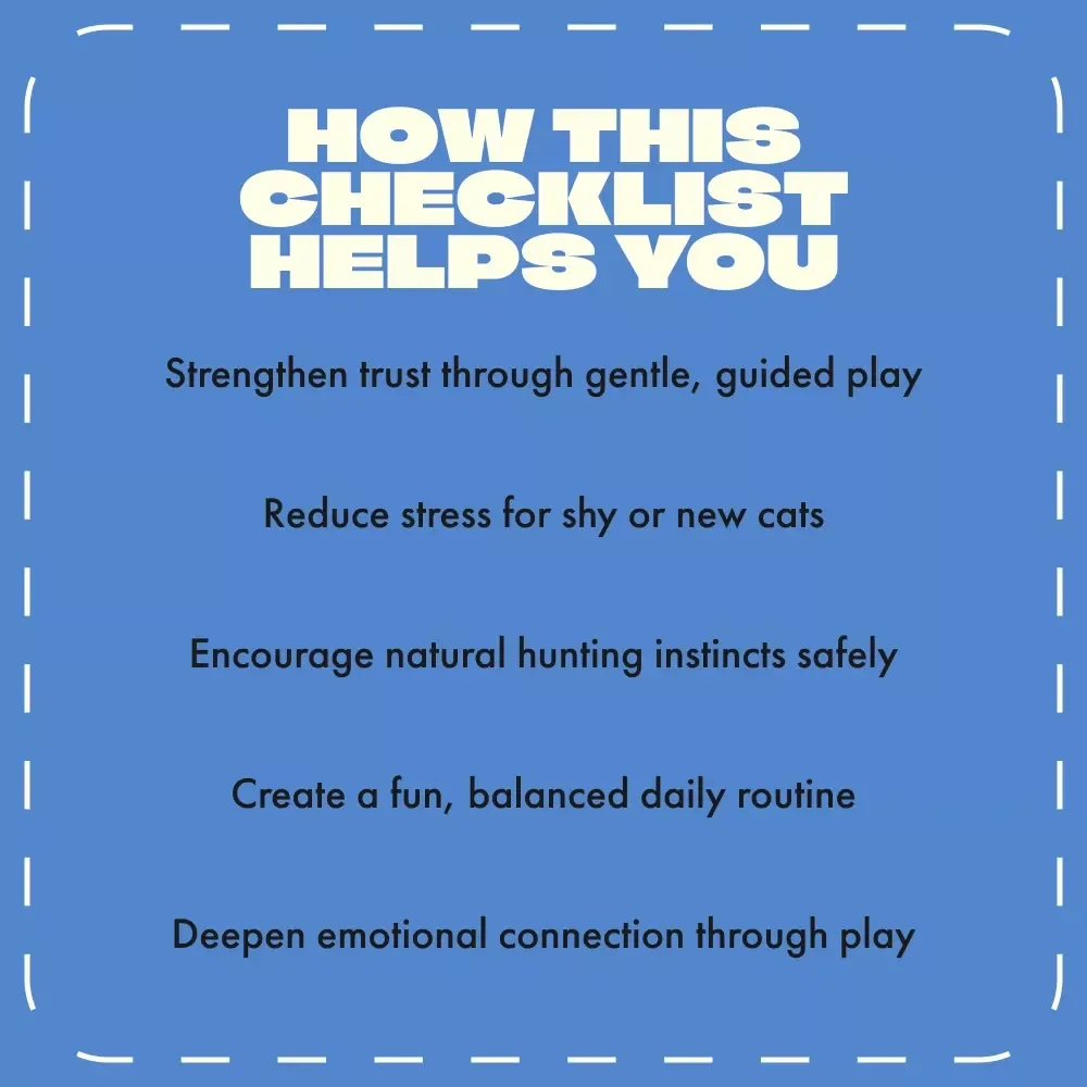 Playtime for Your New Cat | Cat Enrichment Guide, Feline Bonding Checklist, Digital Download for New Cat Owners, Interactive Play Tips eBook