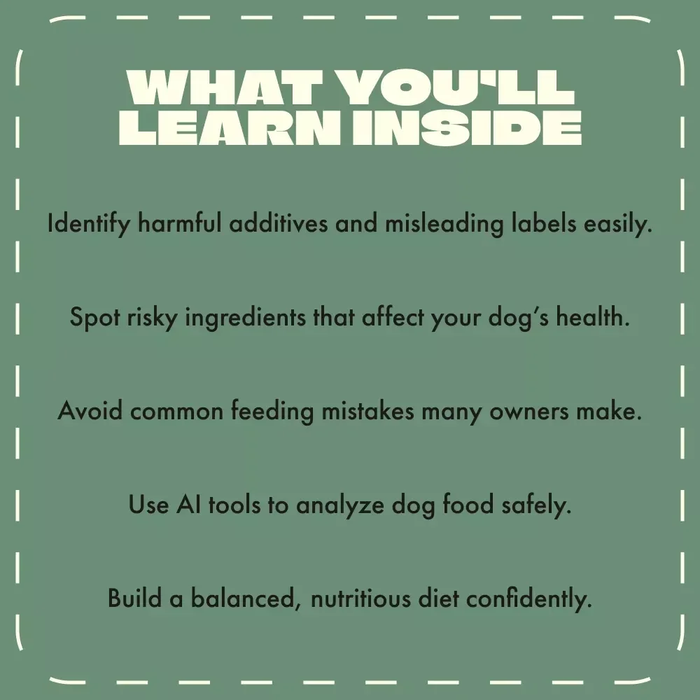 Avoid These Dog Food Dangers | Digital Guide for Pet Owners | What Ingredients to Avoid in Dog Food | Safe & Healthy Pet Nutrition eBook