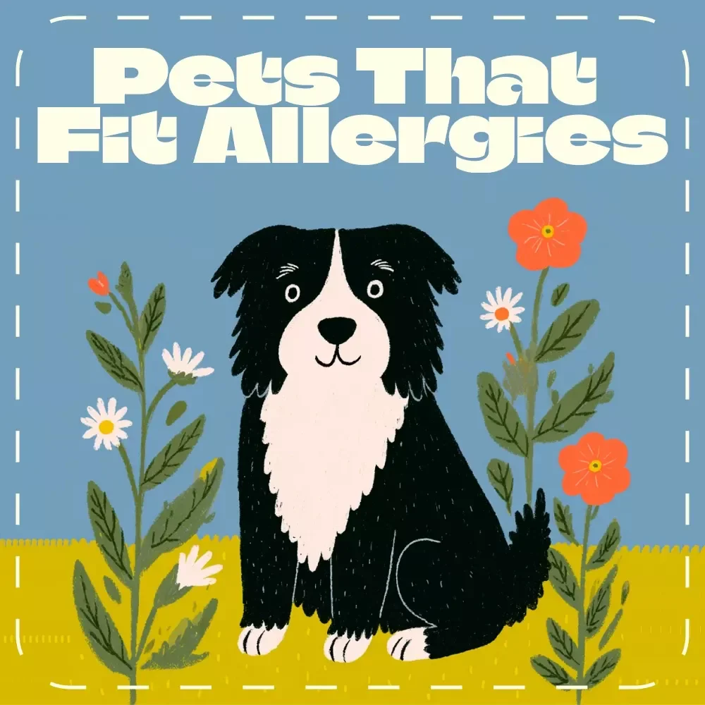 Pets That Fit Allergies | Digital Guide for Allergy Sufferers | Hypoallergenic Pets, AI Pet Care Tools & Allergy Management eBook