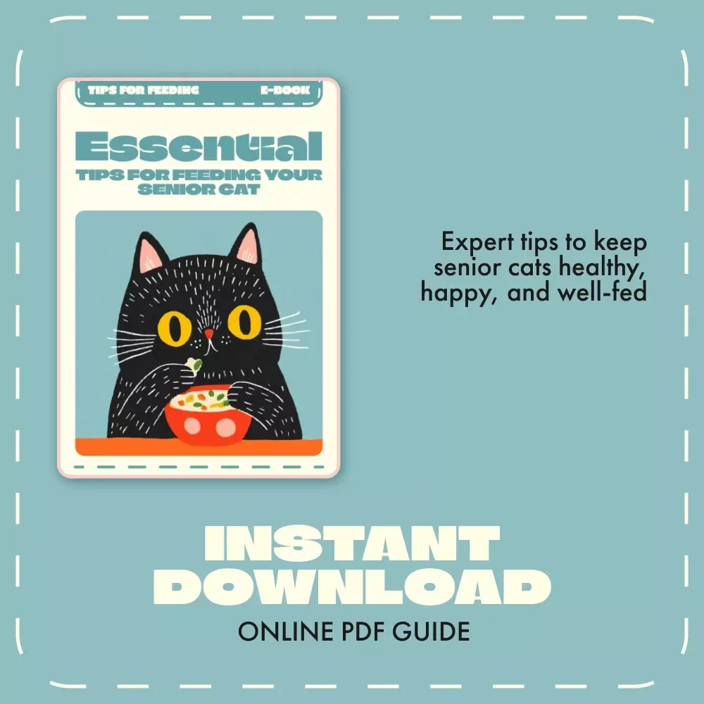 Essential Tips for Feeding Your Senior Cat | eBook for Pet Owners | Digital Download Guide with Nutritional Advice, Feeding Strategies & Checklists