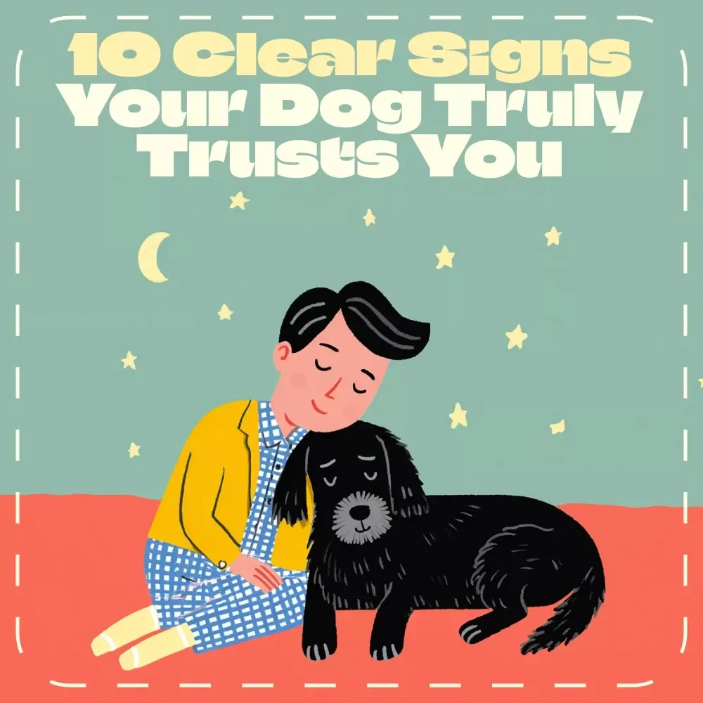 10 Clear Signs Your Dog Truly Trusts You | Printable Pet Owner Checklist | Digital Download | Learn the Signs a Dog Trusts You | Dog Bonding & Training Guide