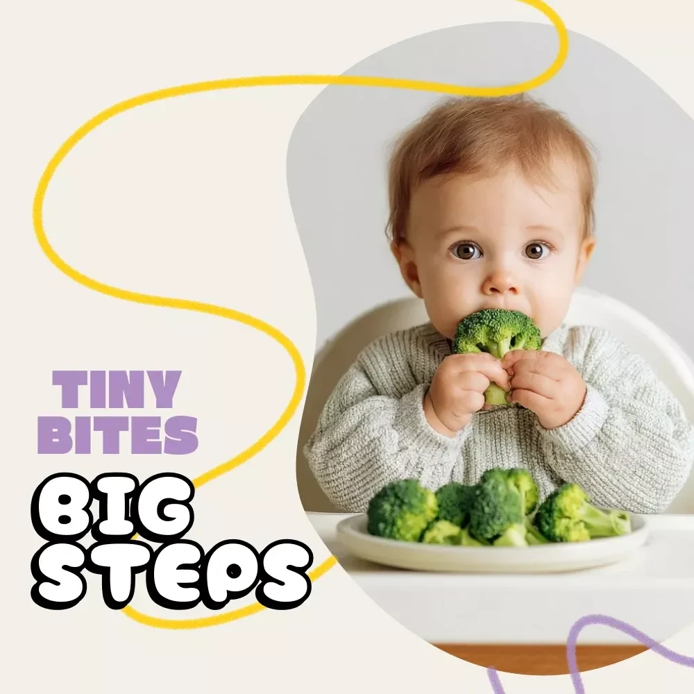 Tiny Bites, Big Steps | Baby Feeding eBook for New Parents | How to Introduce Solids to Baby with Confidence, Nutrition Tips & Step-by-Step Guide