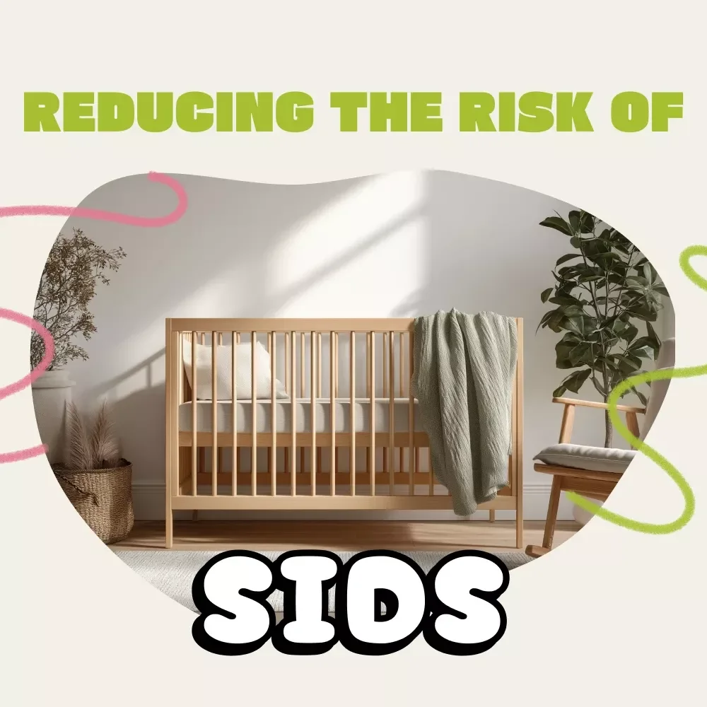 A Parent’s Guide to Reducing the Risk of SIDS | Safe Sleep eBook for New Parents | Digital Download Baby Safety Checklist & AI Sleep Tracking Tips