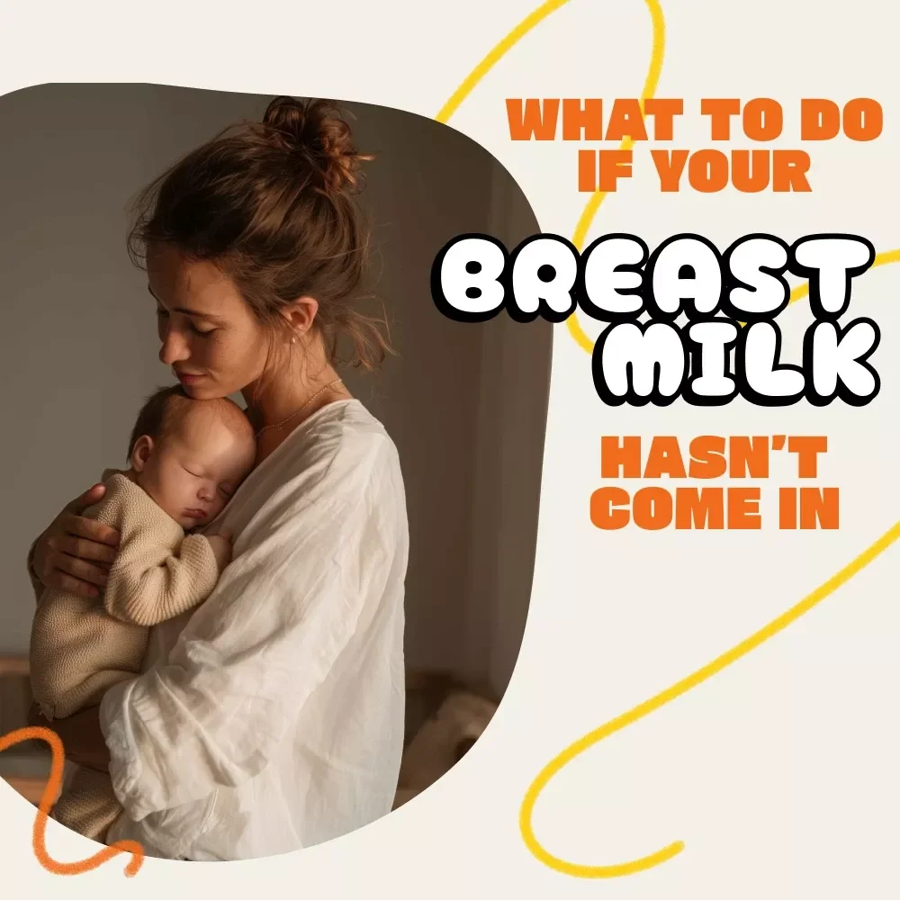 What to Do if Your Breast Milk Hasn’t Come In | New Mom Support Guide | Digital Download for Postpartum Breastfeeding & Lactation Help | what to do if my breast milk hasn’t come in