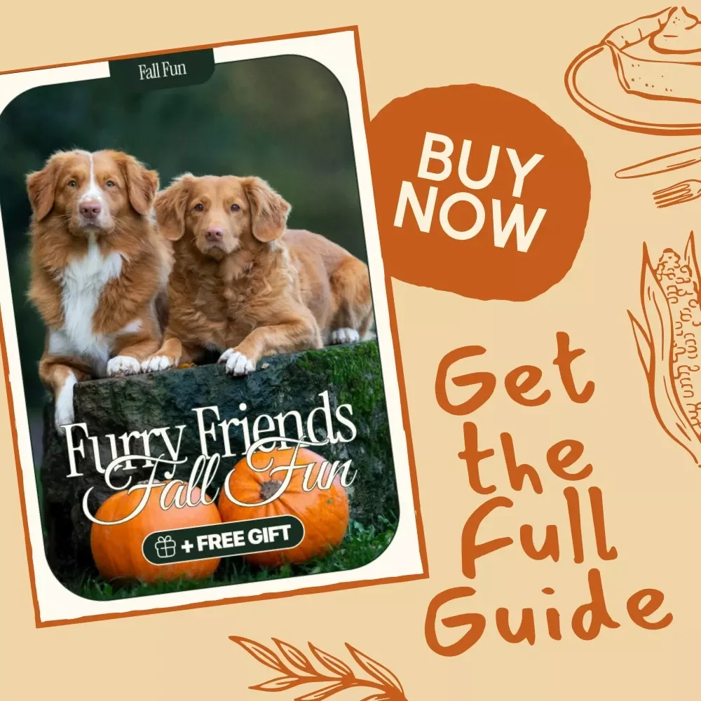 Furry Friends Fall Fun | Pet-Friendly Fall Crafts for Thanksgiving | DIY Pet Crafting Guide for Creative Pet Parents