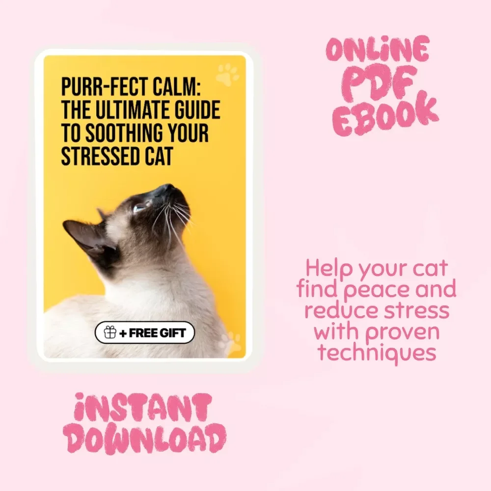 Purr-fect Calm: The Ultimate Guide to Soothing Your Stressed Cat – How to Calm a Stressed Cat