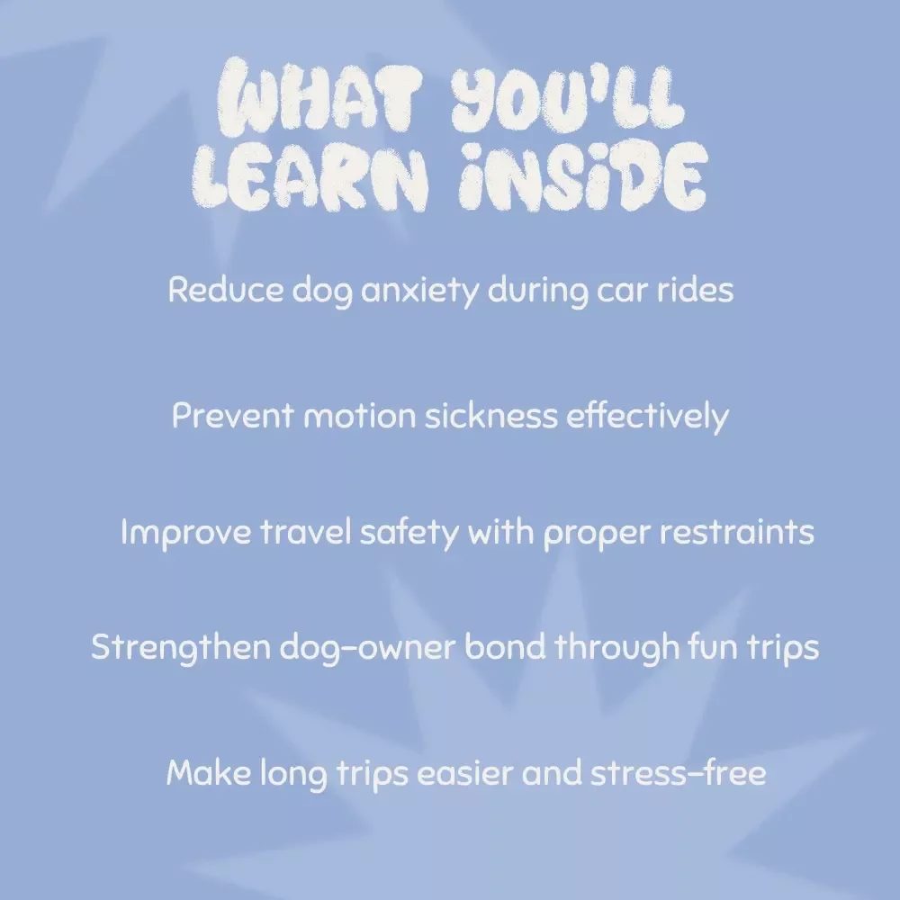 Smooth Rides: Train Your Dog to Love Car Trips - A Complete Guide for Stress-Free Car Journeys