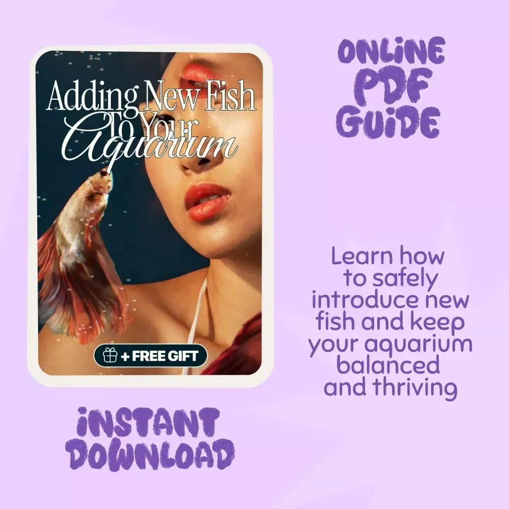 Adding New Fish to Your Aquarium | Digital Guide for Beginners | Expert Tips for Adding New Fish to a Tank | Instant Download eBook