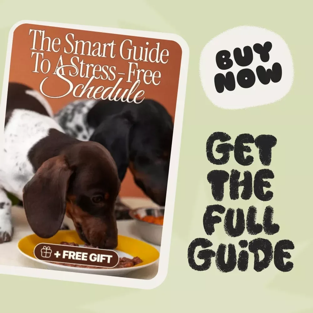 Feeding Time Mastery: The Smart Guide to a Stress-Free Schedule | Digital Feeding Schedule eBook, Pet Feeding Planner, Routine Tracker, AI Tools for Feeding, Printable Guide Download