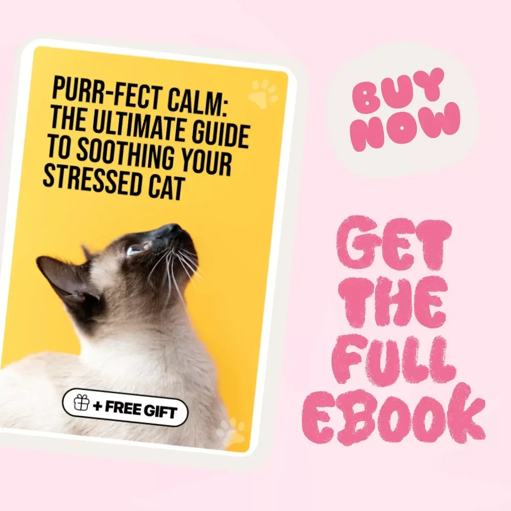 Purr-fect Calm: The Ultimate Guide to Soothing Your Stressed Cat – How to Calm a Stressed Cat