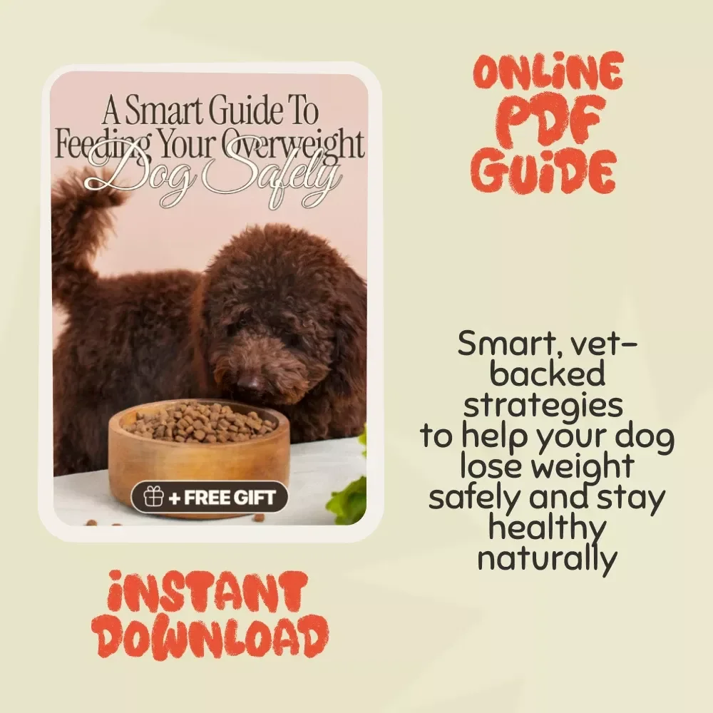 Healthy Bites: A Smart Guide to Feeding Your Overweight Dog Safely | Digital Download for Pet Owners | How to Feed an Overweight Dog Safely, Step-by-Step Nutrition & Care Plan