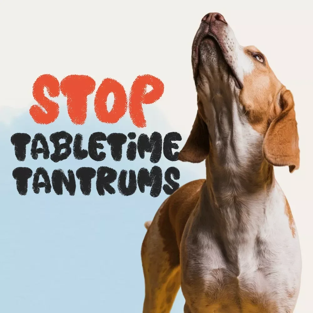 Stop the Table-Time Tantrums: A Fun Checklist to Discourage Begging | Printable Pet Training Guide | No Begging Training for Dogs & Cats | Digital Download eBook for Pet Owners