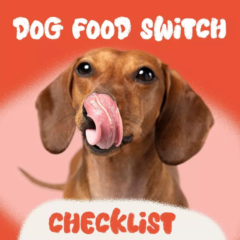 The Pawsome Dog Food Switch Checklist: Make the Change Without the Chaos! - Easy Transition Guide for Dog Parents