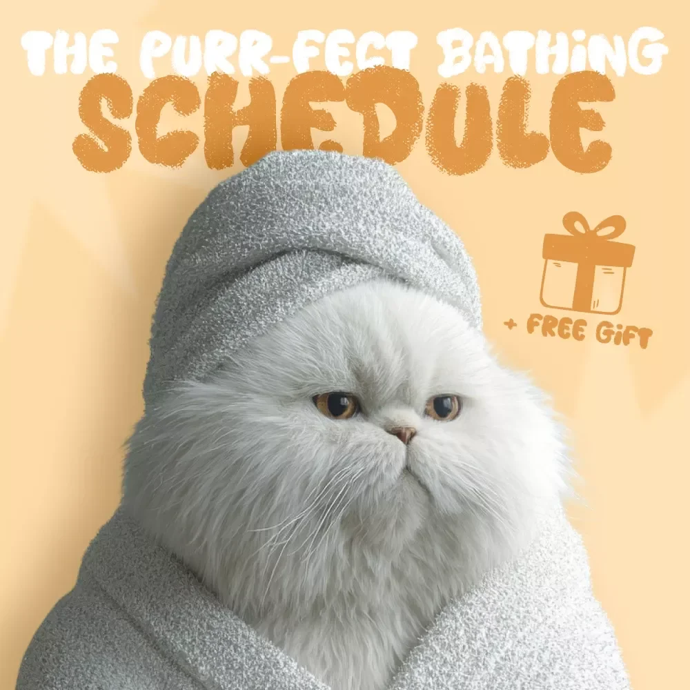The Purr-fect Bathing Schedule: How Often Should You Bathe Your Cat – Essential Cat Bathing Guide & Checklist