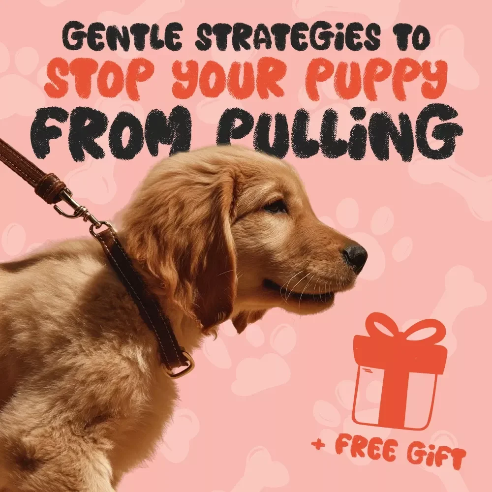 Gentle Strategies to Stop Your Puppy from Pulling - Effective Tips for Stopping a Puppy from Pulling | Digital Download Guide