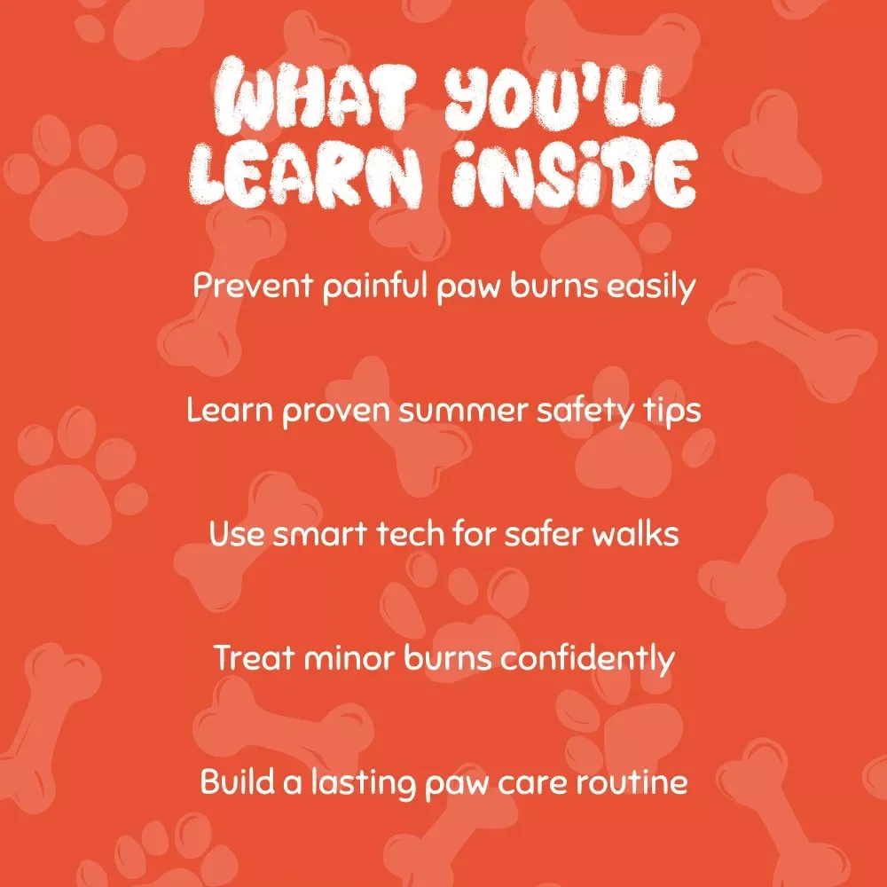 Keeping Your Dog Safe in the Summer Sun | Digital Download Guide for Dog Owners | Pet Safety eBook for Hot Weather, Paw Care, and Summer Walks